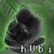 [hUbi]
