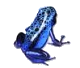 Daniello