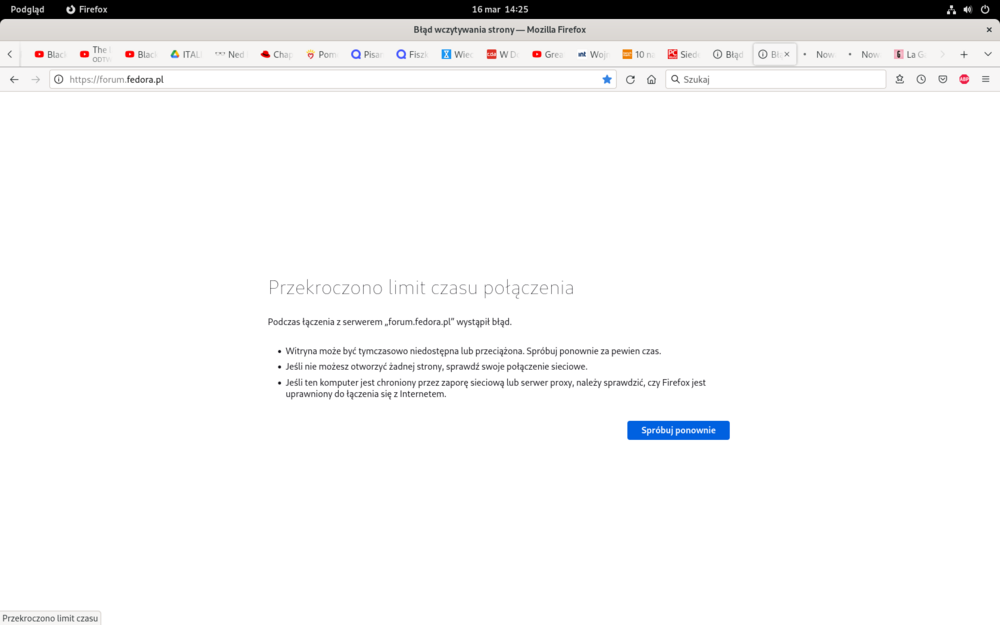 Zrzut ekranu z 2022-03-16 14-25-11.png