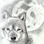 MoonWolf