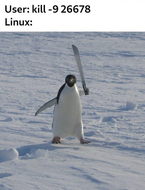 linux_kill_command.jpg